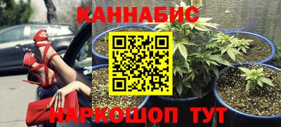 шишки Можайск