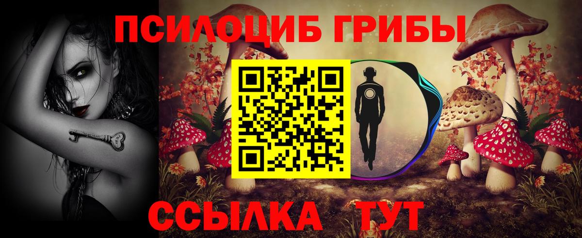 Галлюциногенные грибы прущие грибы  Вход с VPN  Псилоцибиновые грибы Psilocybine cubensis  Волгоград 