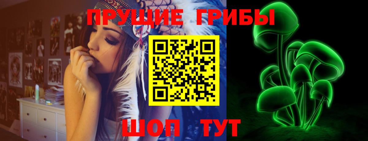 Галлюциногенные грибы Psilocybe Волгоград