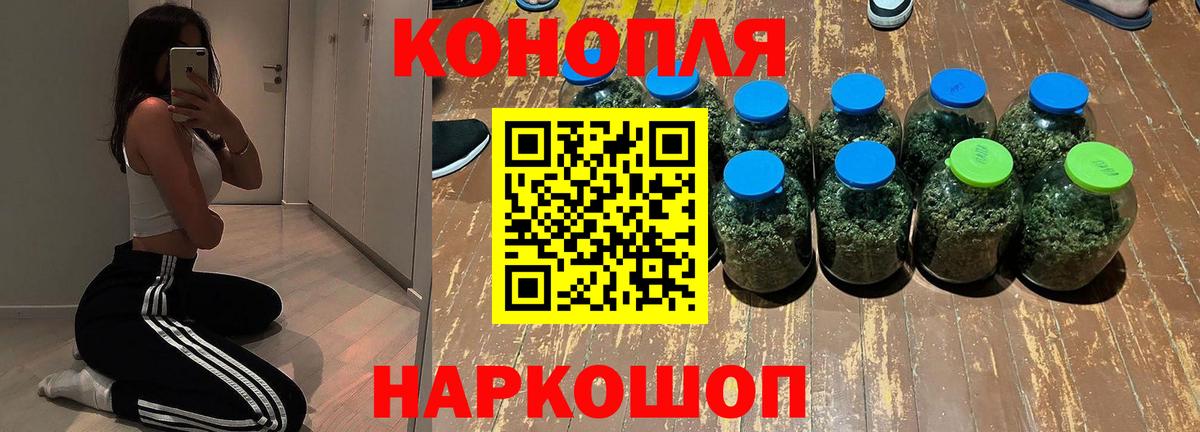 Каннабис план Волгоград
